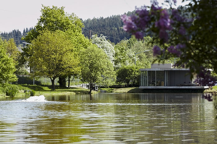 Mit Architekturpreis ausgezeichnetes Teichhaus am Herkules Weiher in Siegen